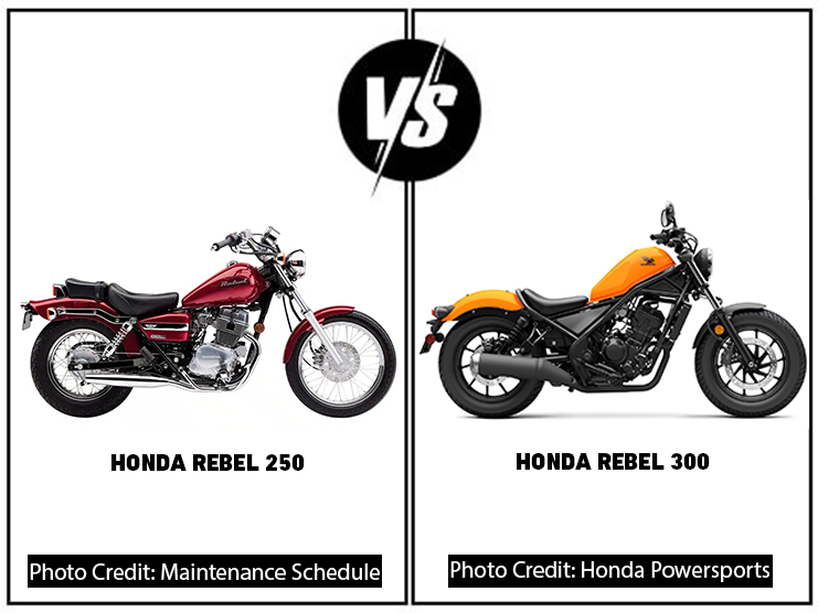 Honda Rebel 250 Vs Honda Rebel 300: The Best Beginner Bike