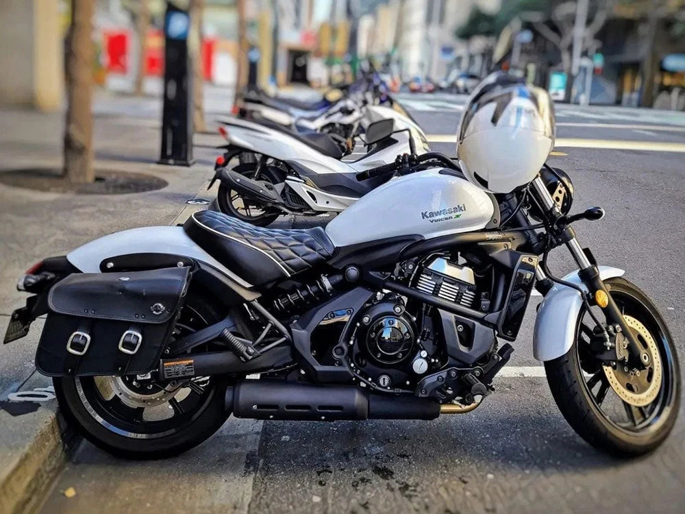 Kawasaki Motorcycle with Viking Saddlebags