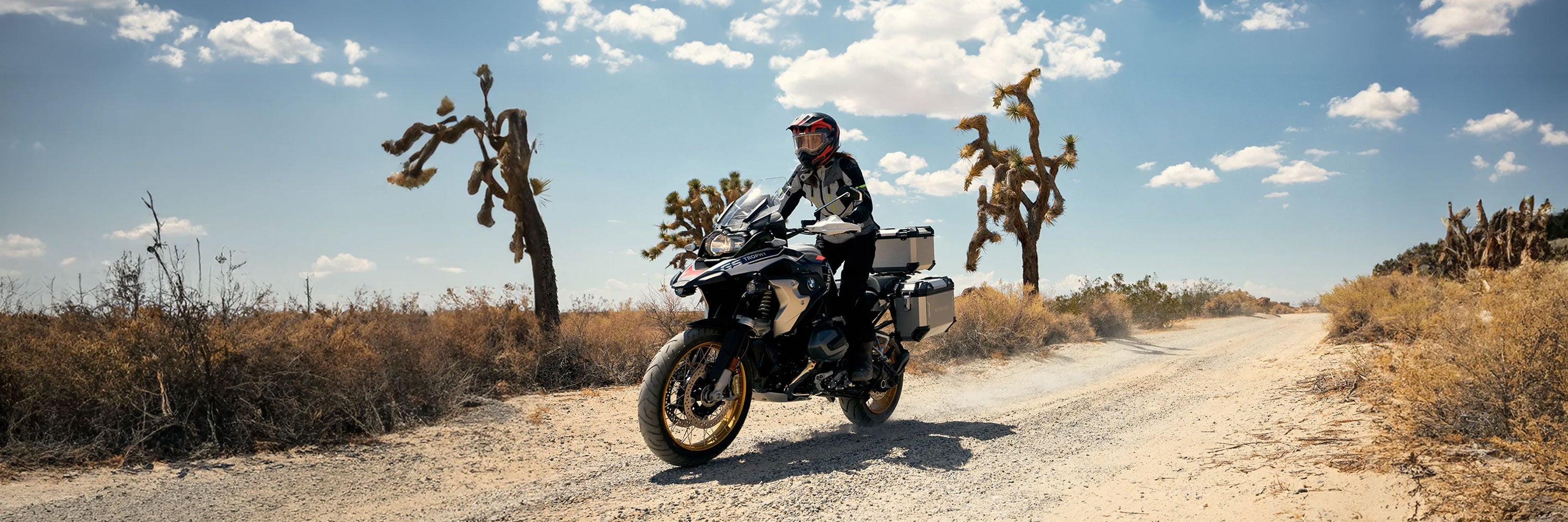 Hard Top Cases for BMW R 1250 GSA Adventure Motorcycle