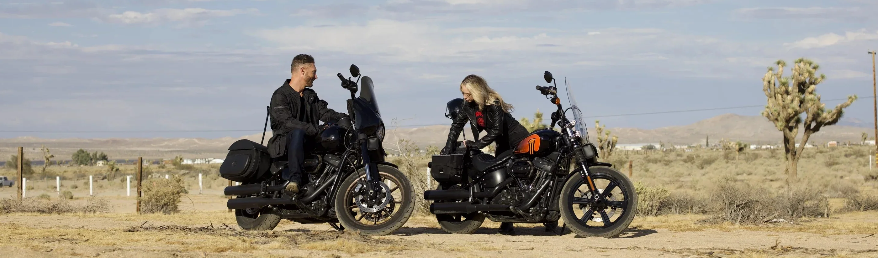 Harley Davidson Dyna Bagger Extended Saddlebags