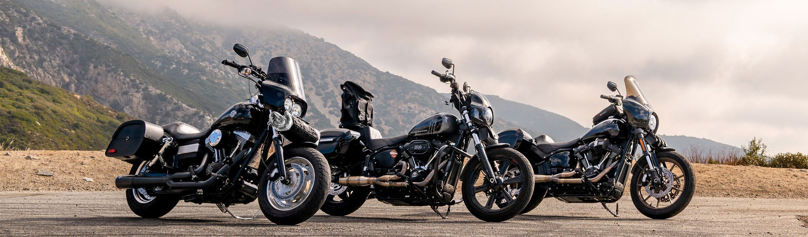 Harley Davidson Dyna Low Rider FXDL/I Saddlebags
