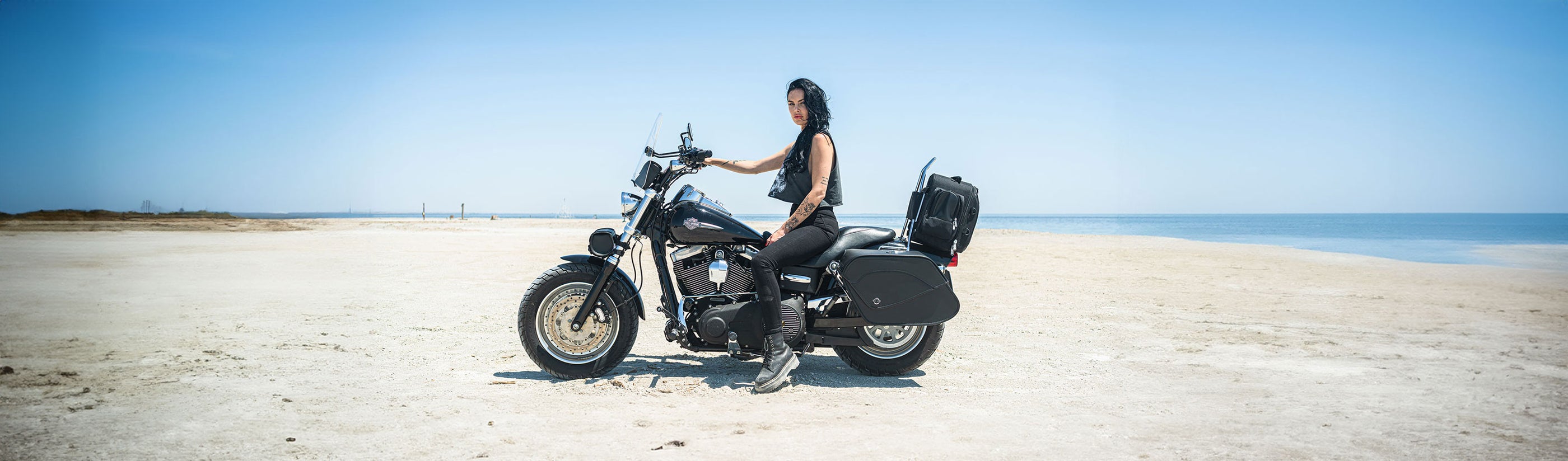 Harley Davidson Dyna Low Rider FXDL/I Sissy Bars