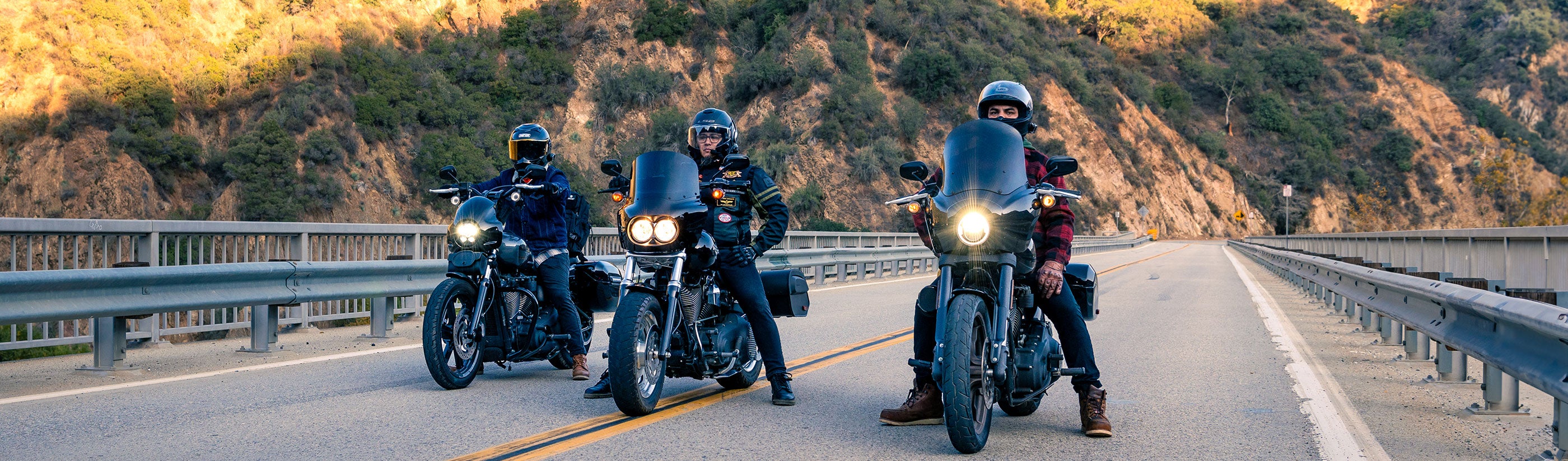 Harley Davidson Softail Low Rider FXLR Handlebars
