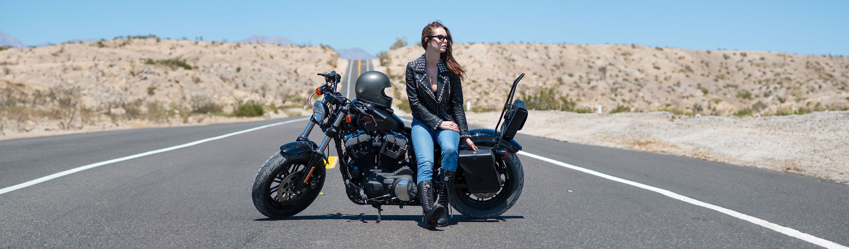 Harley Davidson Sportster 883 Iron XL883N Sissy Bars