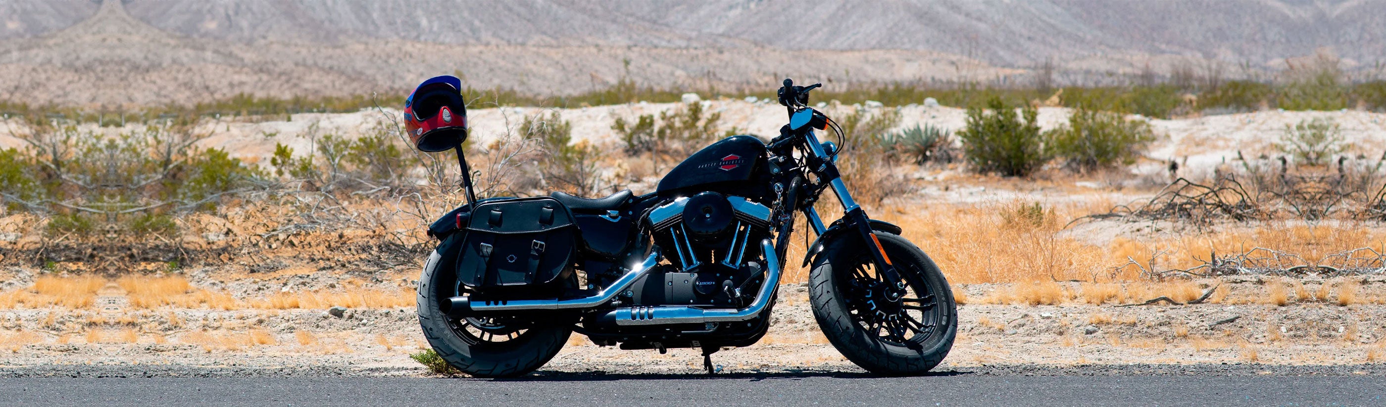 Harley Davidson Sportster 883 Low XL883L Saddlebags