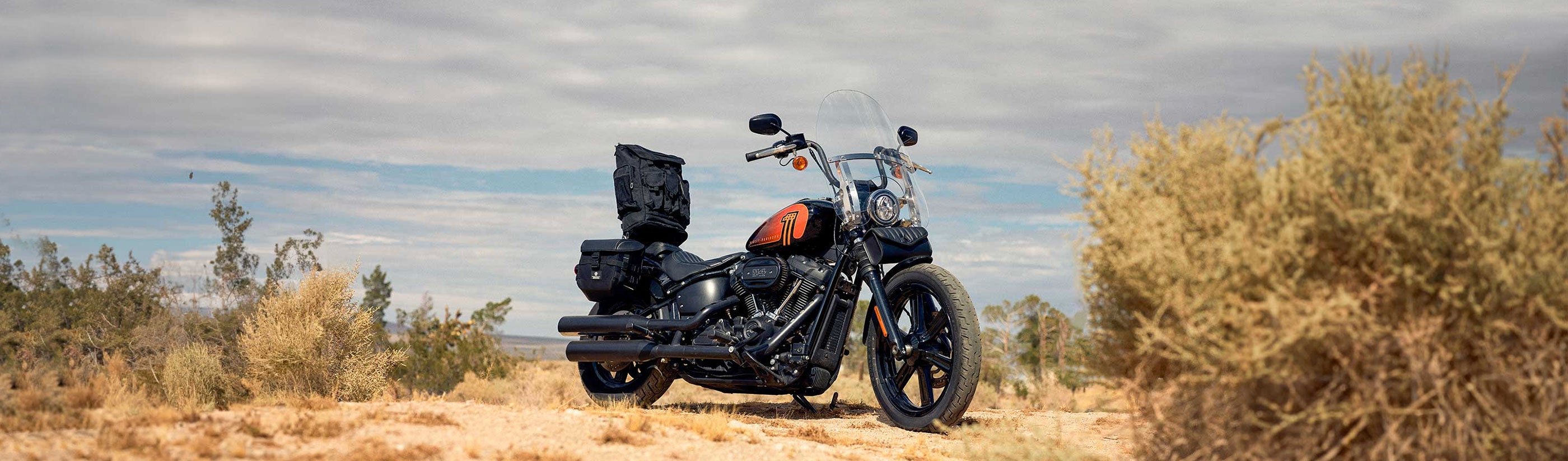 Harley Softail Street Bob FXBB All Motorcycle Luggage Bags, Parts & Accessories By Bike