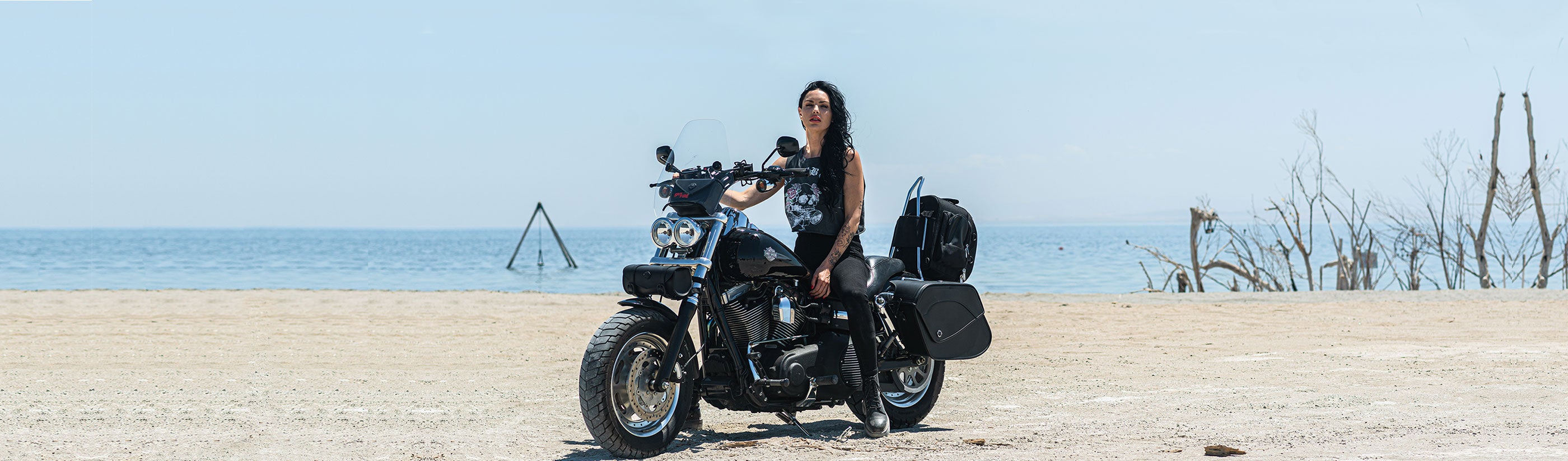 Harley Davidson Dyna Wide Glide FXDWG/I Saddlebags