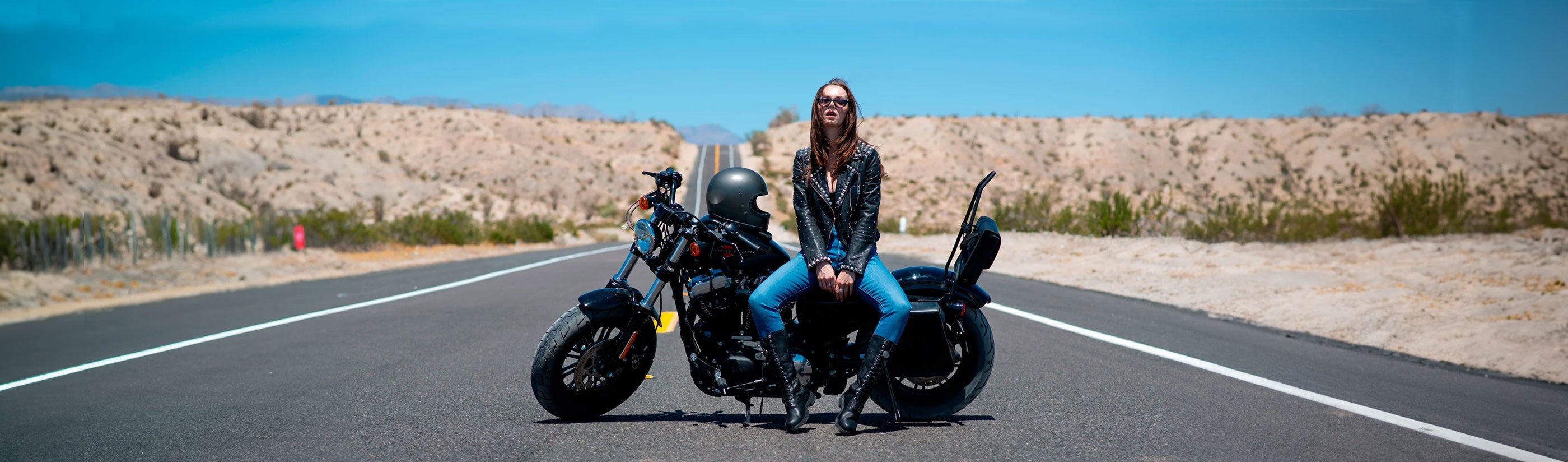Harley Davidson Sportster 883 Iron XL883N Saddlebags