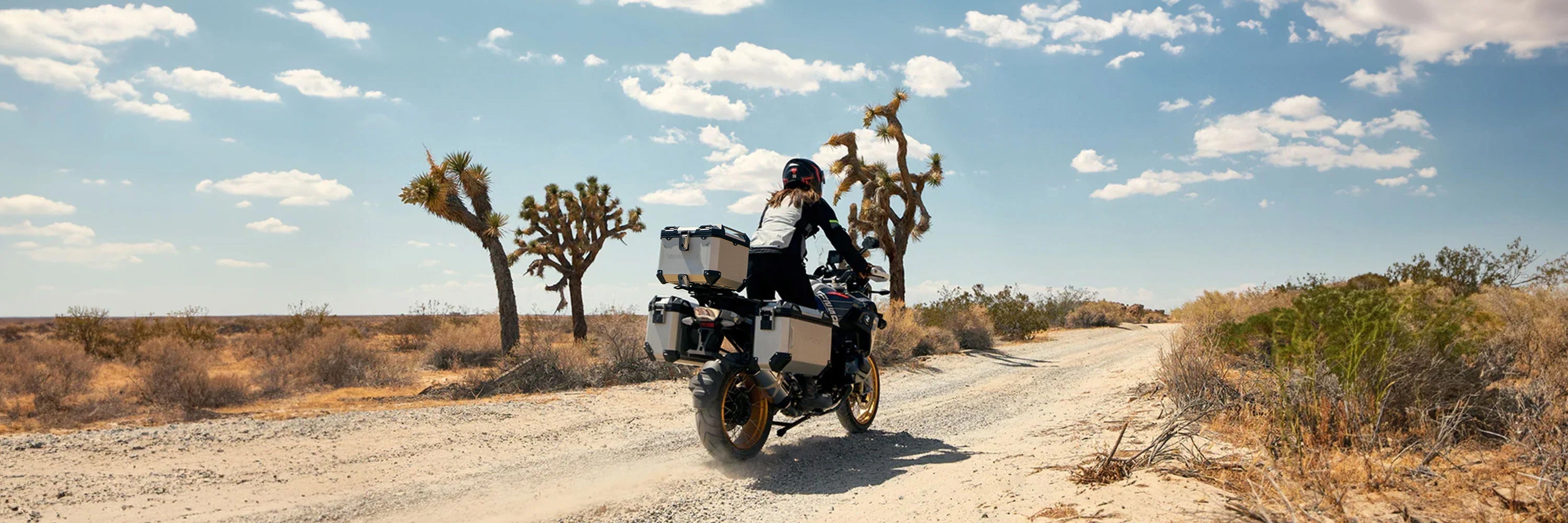 Kawasaki Versys 1100 Touring Side Cases
