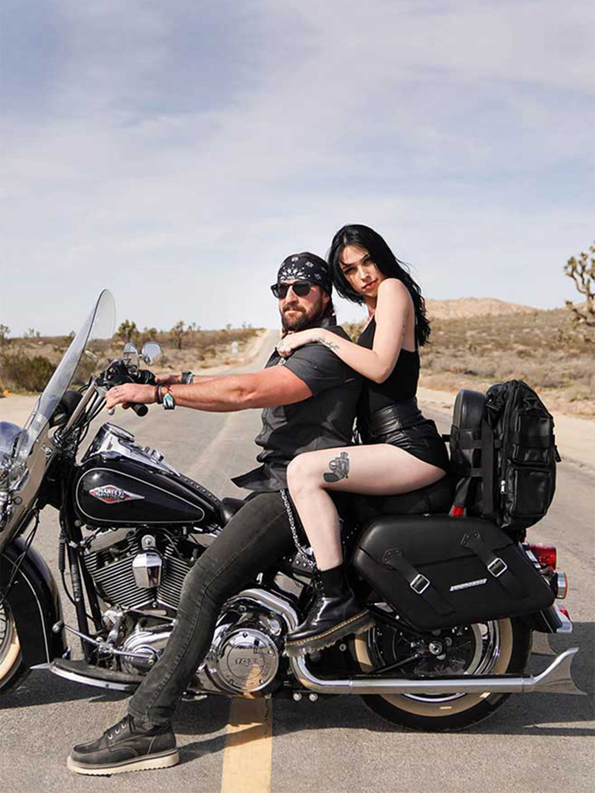 BackrestsSissy Bar Pads for Harley Davidson Motorcycles Vertical