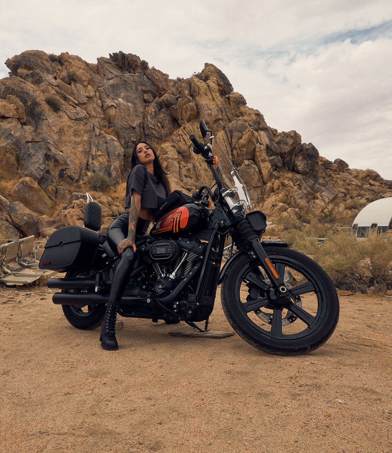 Harley Softail Street Bob Fxbb XT-OTO Tall Sissy Bar