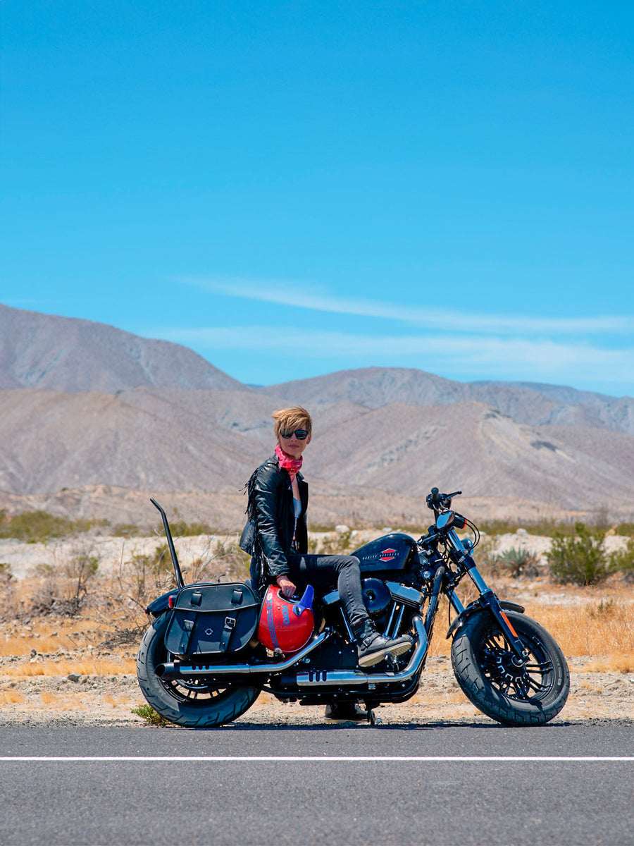 Harley Davidson Sportster Forty Eight 48 XL1200X Saddlebags Viking Bags