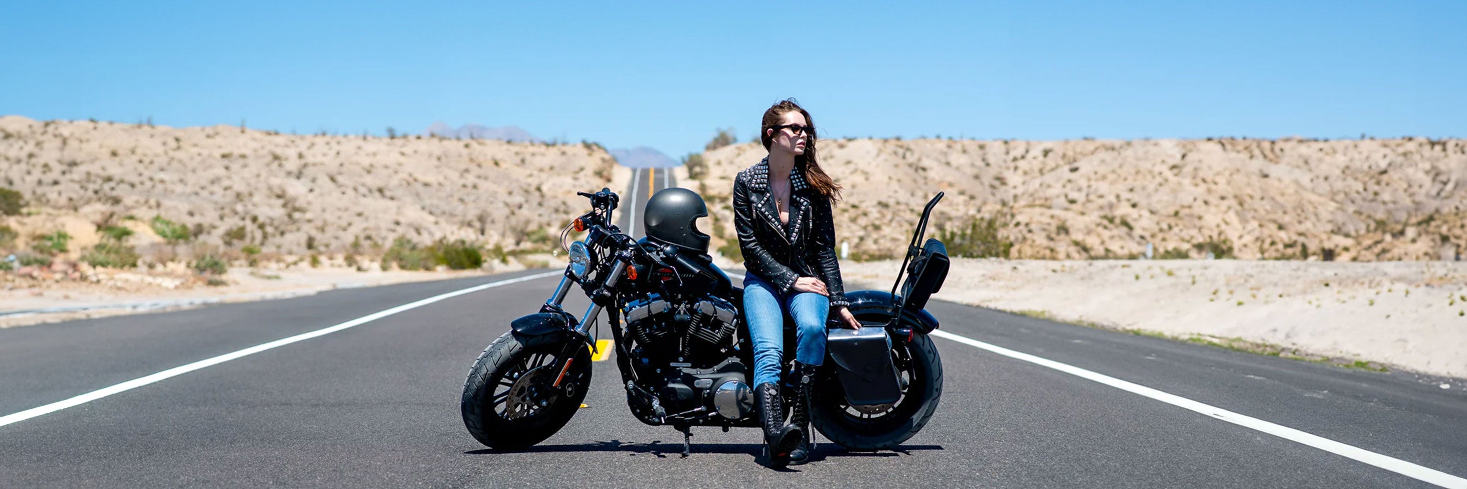 Harley Davidson Sportster Saddlebags