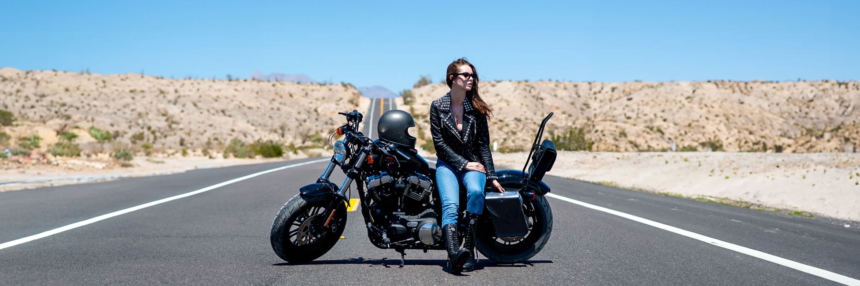 DL Waterproof Sissy Bar Bags For Harley Sportster – 2-Piece Touring Set (DD09) Black