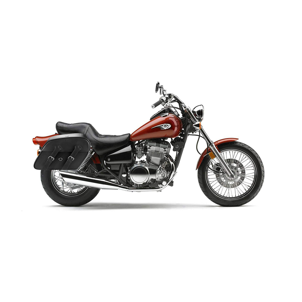Saddlebags for Kawasaki Vulcan 500, EN500 Motorcycle