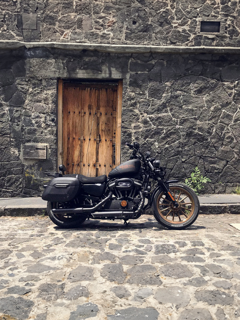 Harley Davidson Sportster Super Low XL883L Saddlebags Viking Bags