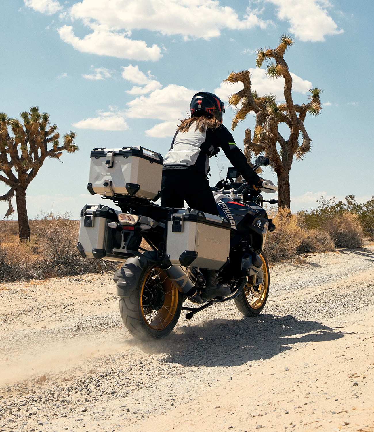 BMW R 1250 Adventure Touring Side Cases