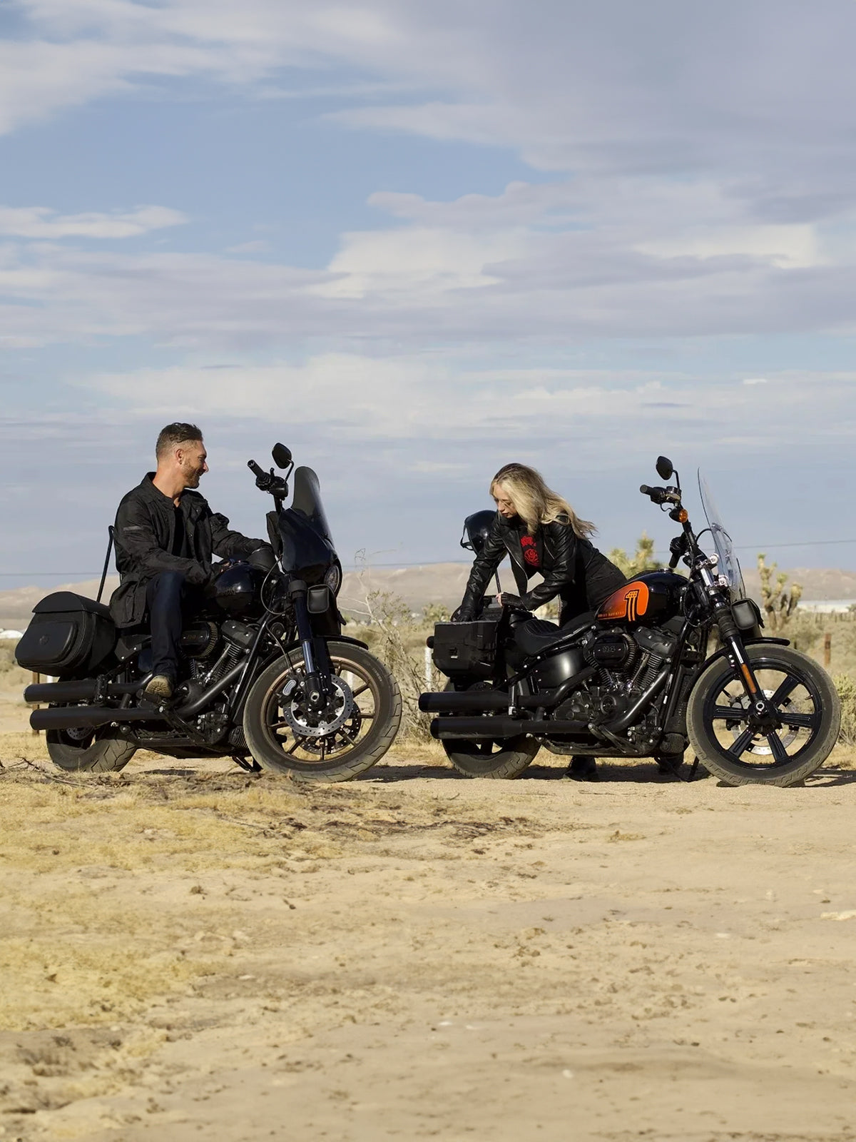 Harley Davidson Bagger Extended Saddlebags