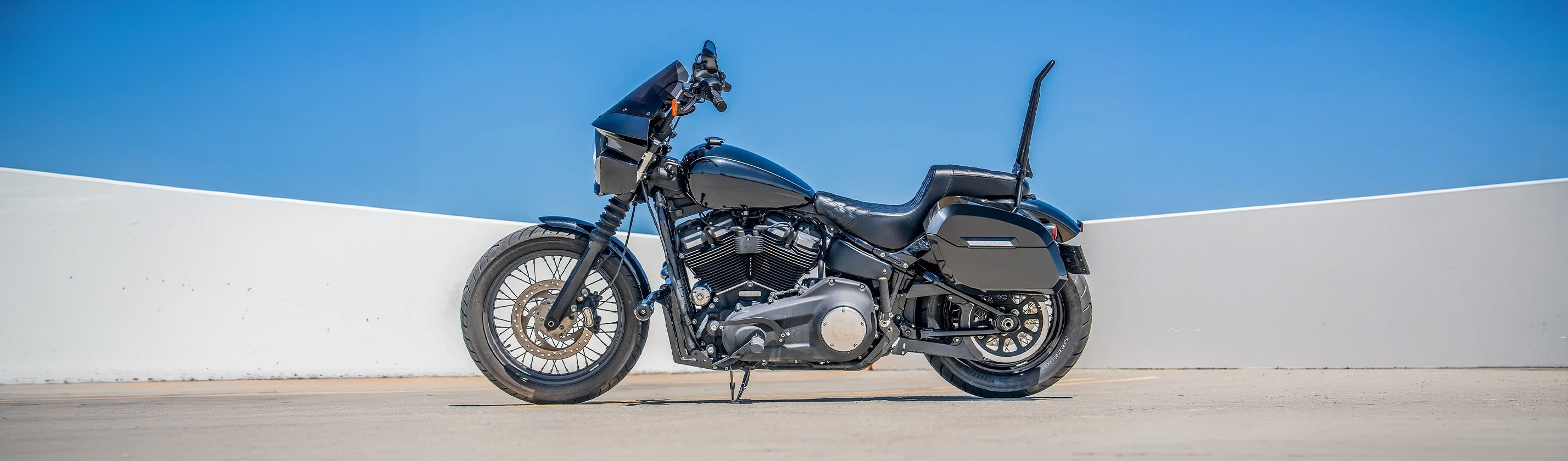 Harley Davidson Sissy Bars