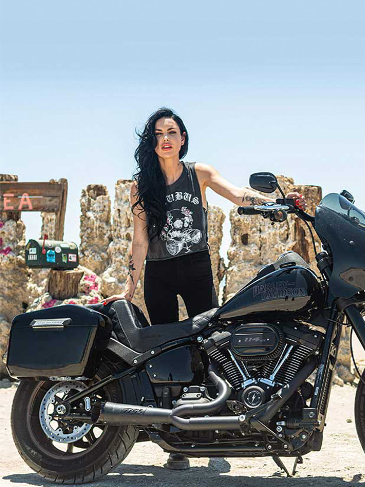 Handlebars for Harley Davidson Softail Low Rider S verticle