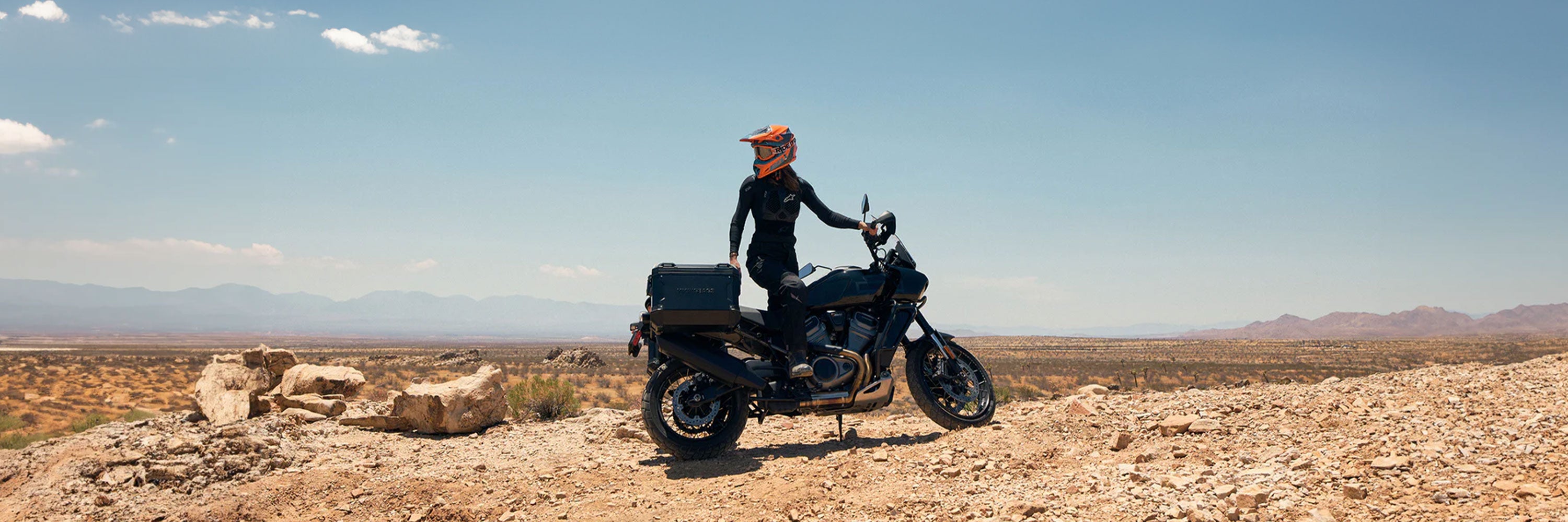 Harley Davidson Adventure Touring Saddlebags & Luggage Bags