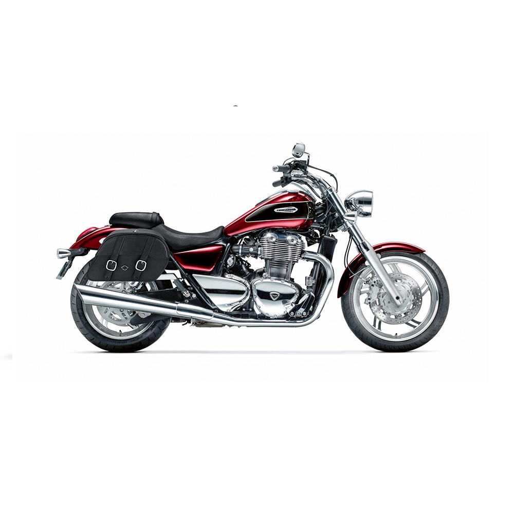 bags, parts and accessories for triumph thunderbird 1700 motorcycle