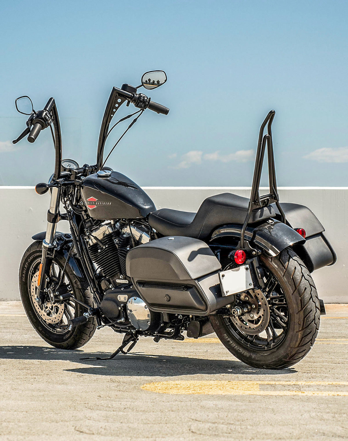 Pare Carter Harley Sportster Forty-Eight 48 2010-2020 - Barre Protection Moteur SC13