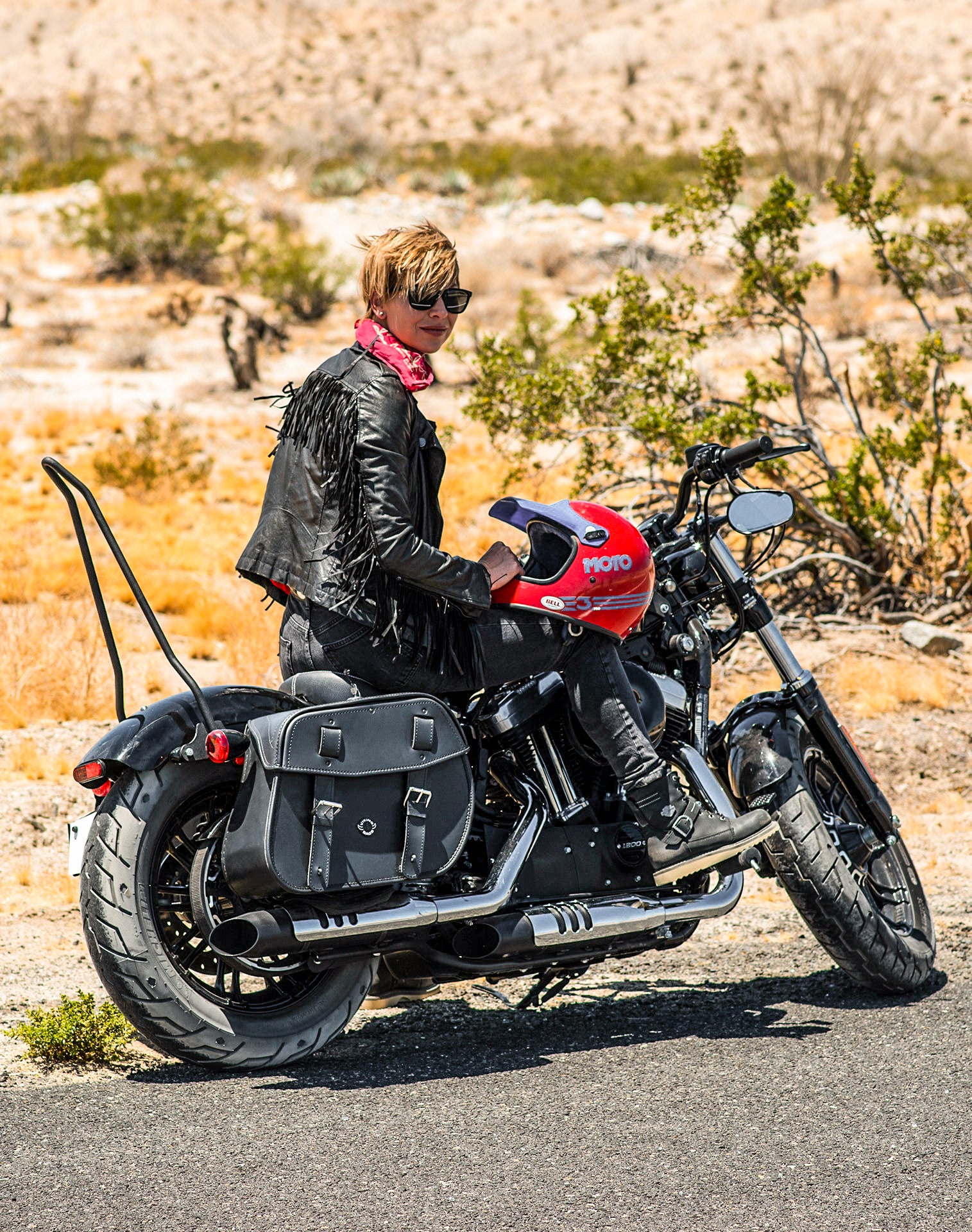 25L - Arch Large Shock Cutout Leather Motorcycle Saddlebags for Harley Sportster 48 XL1200X v1