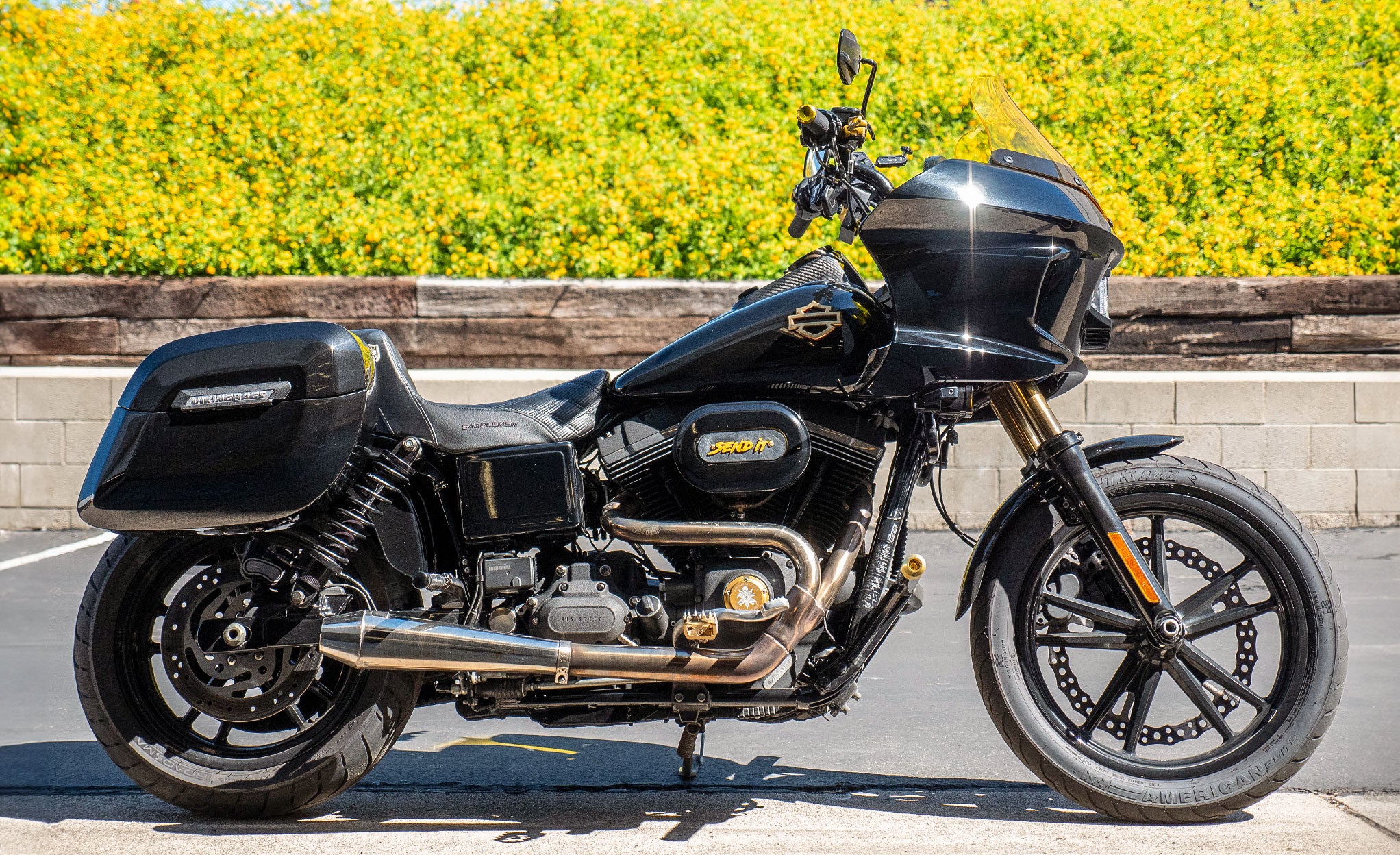 Dyna Viking Bags Dyna With Bags Clearance - Main Image