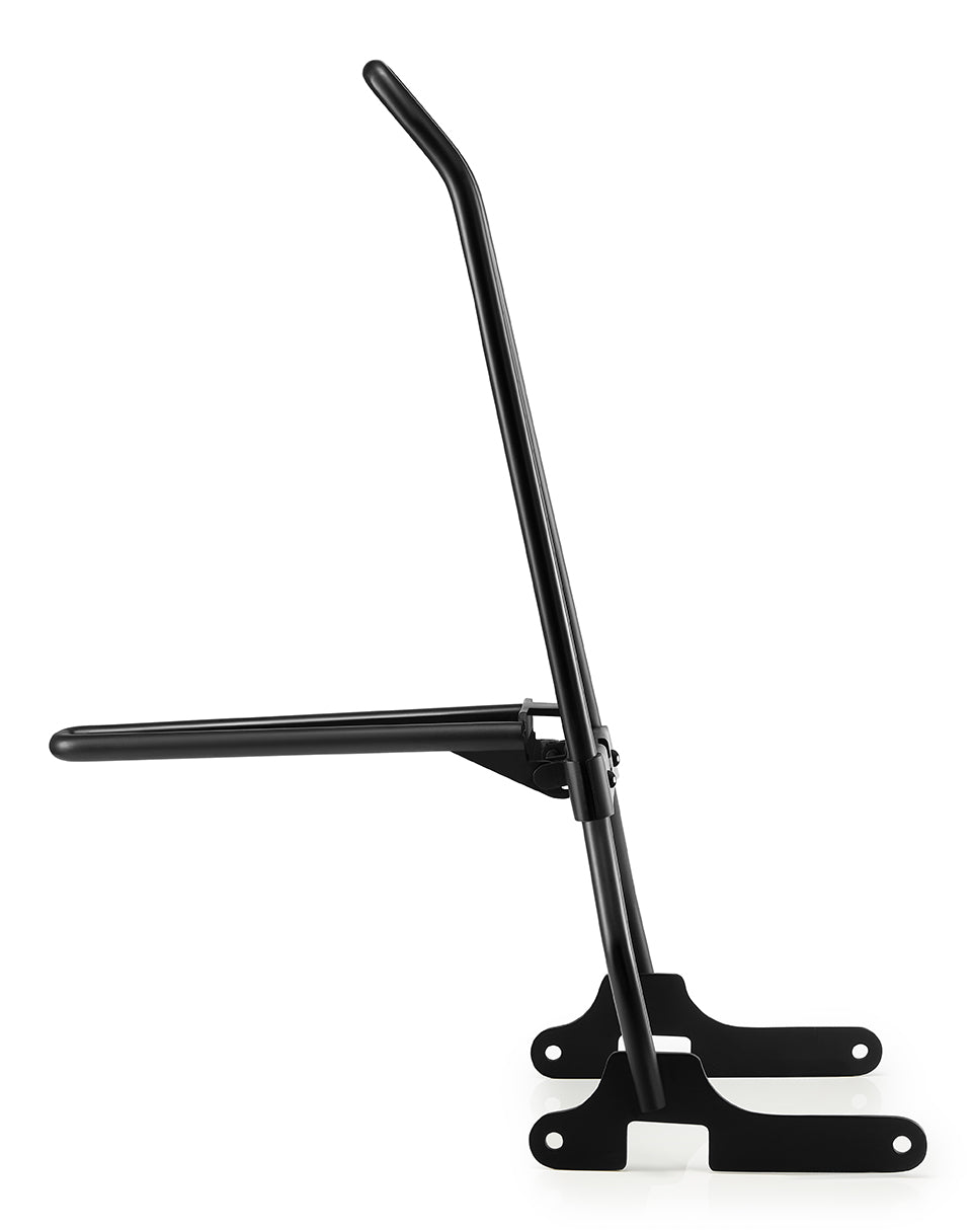 Iron Born Sissy Bar with Foldable Luggage Rack for Harley Sportster 883 Iron XL883N Matte Black Side View