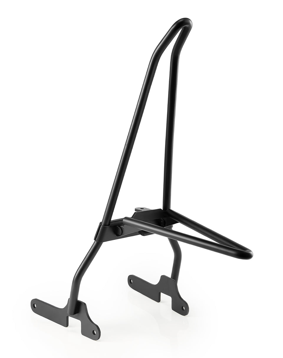 Iron Born Sissy Bar with Foldable Luggage Rack for Harley Sportster 883 Iron XL883N Matte Black Portrait View