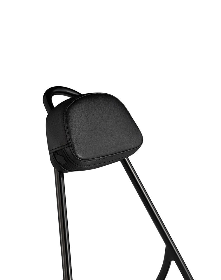 Viking Iron Born 13" Sissy Bar with Backrest Pad for Harley Sportster 883 Iron XL883N Gloss Black Close Up View