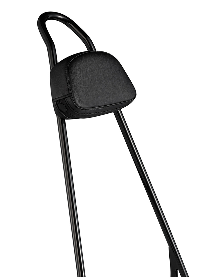 Viking Iron Born 20" Sissy Bar with Backrest Pad for Harley Sportster 883 Low XL883L Gloss Black Close Up View