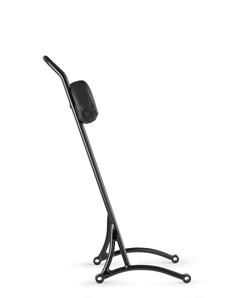 Viking Iron Born 20" Sissy Bar with Backrest Pad for Harley Sportster Forty Eight XL1200X/XS Gloss Black Side View