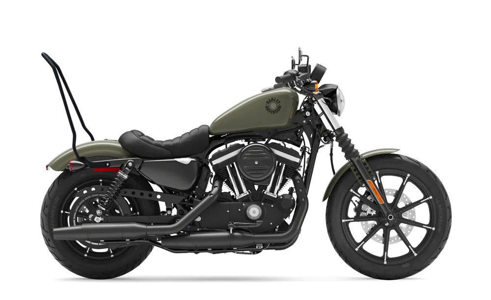 Iron 883 Sissy Bar